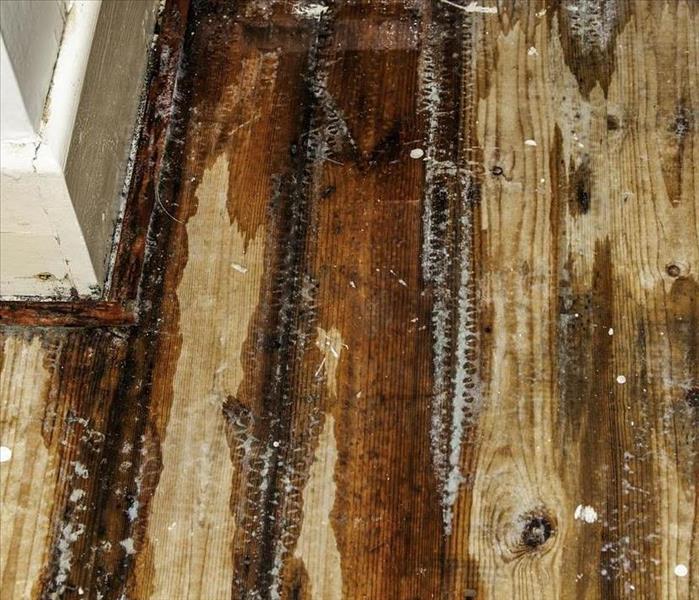 Wood flooring with with water damage. 